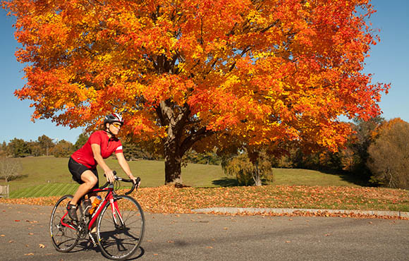 Fall best sale cycling gear